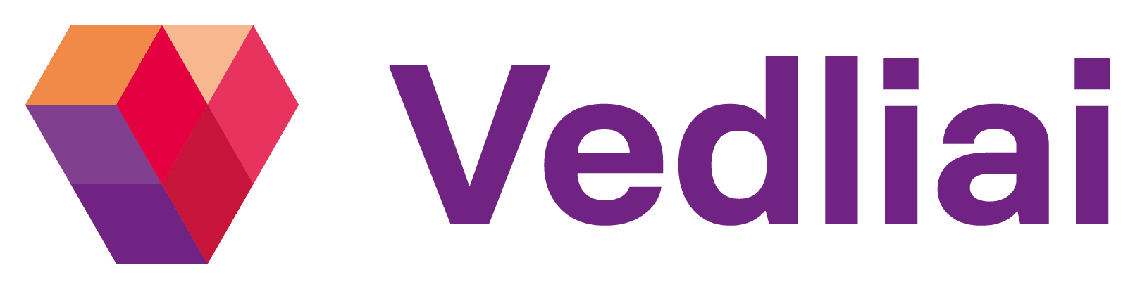 Technologijų vedliai